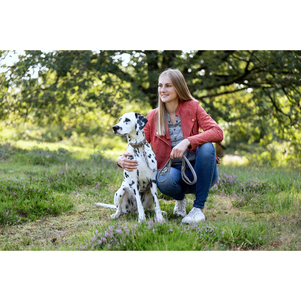 GIRO Grey - Klassisches Halsband für jeden Einsatz - Tiny Paws Boutique