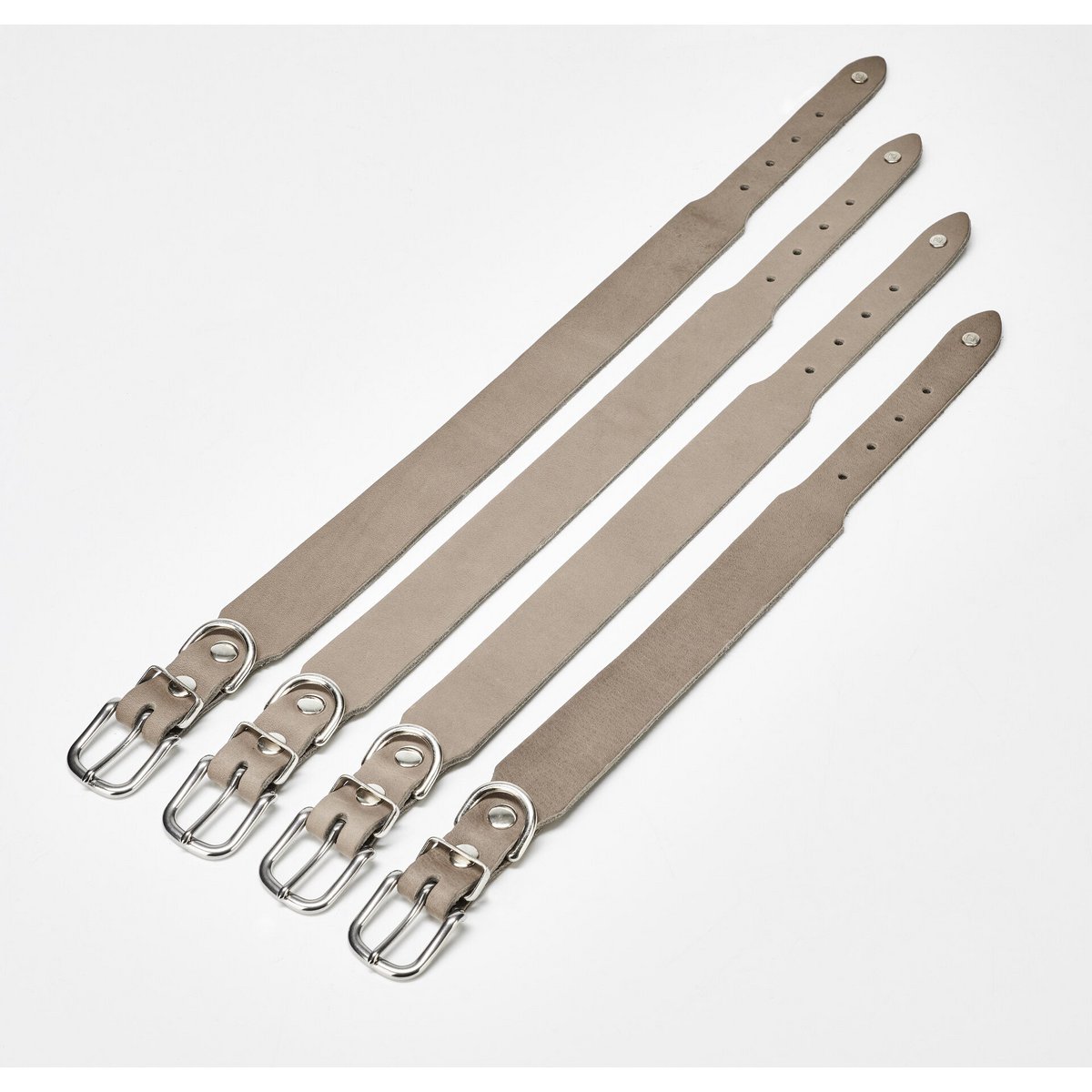 GIRO Grey - Klassisches Halsband für jeden Einsatz - Tiny Paws Boutique