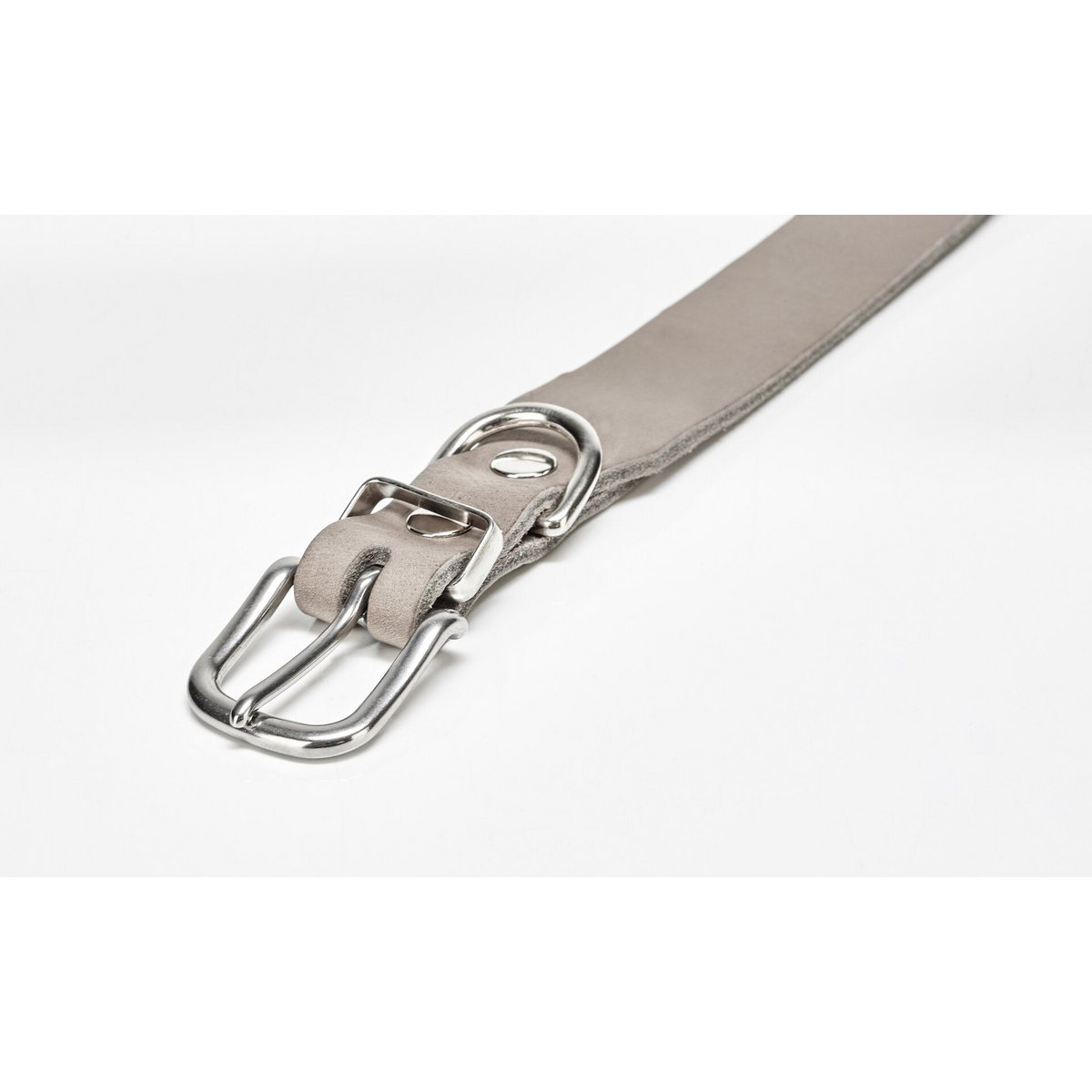 GIRO Grey - Klassisches Halsband für jeden Einsatz - Tiny Paws Boutique