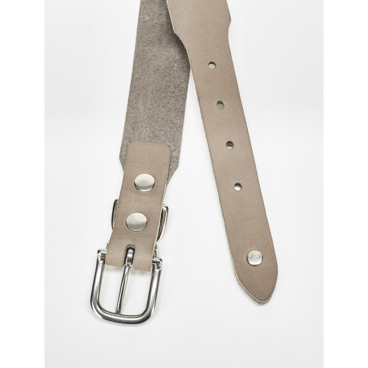 GIRO Grey - Klassisches Halsband für jeden Einsatz - Tiny Paws Boutique