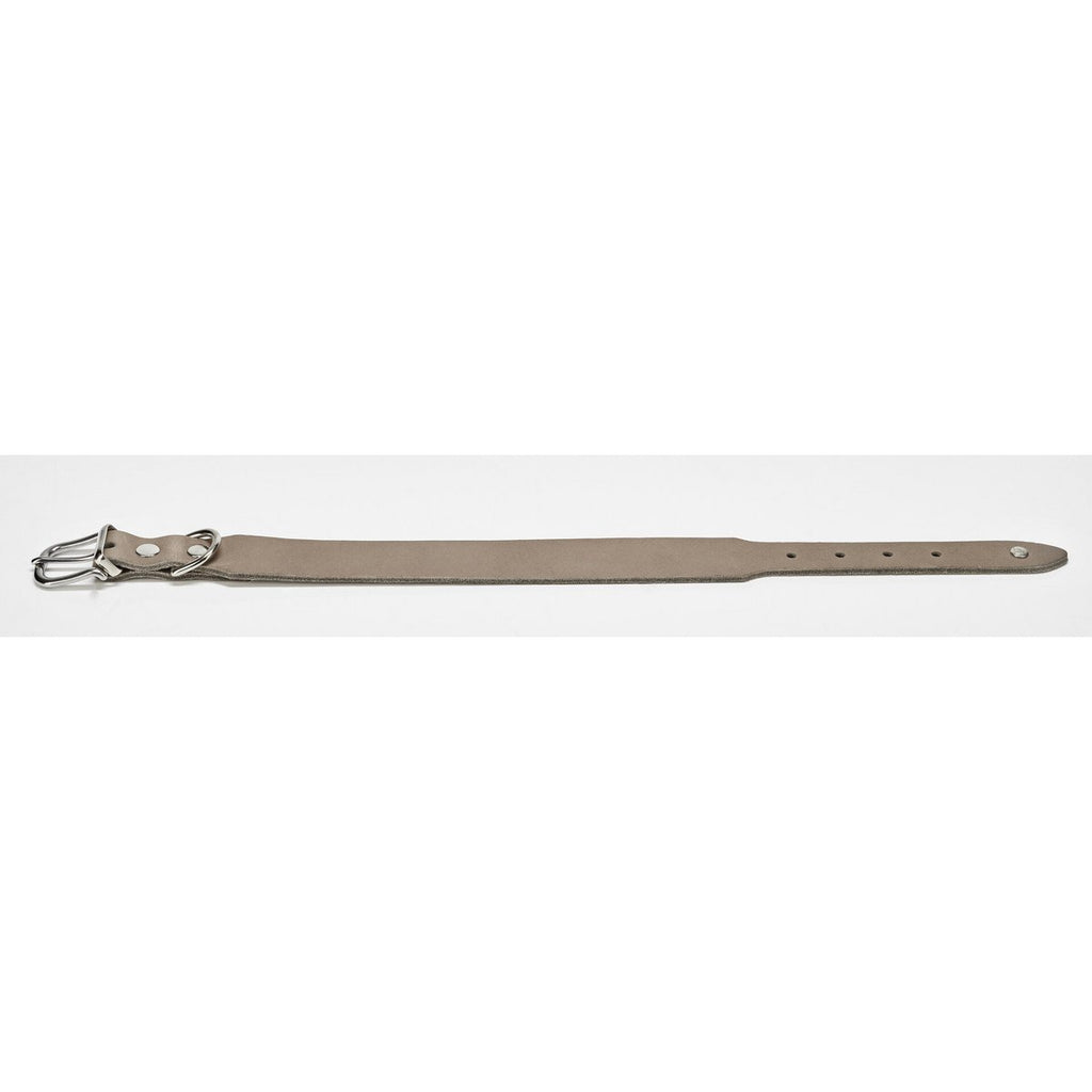 GIRO Grey - Klassisches Halsband für jeden Einsatz - Tiny Paws Boutique