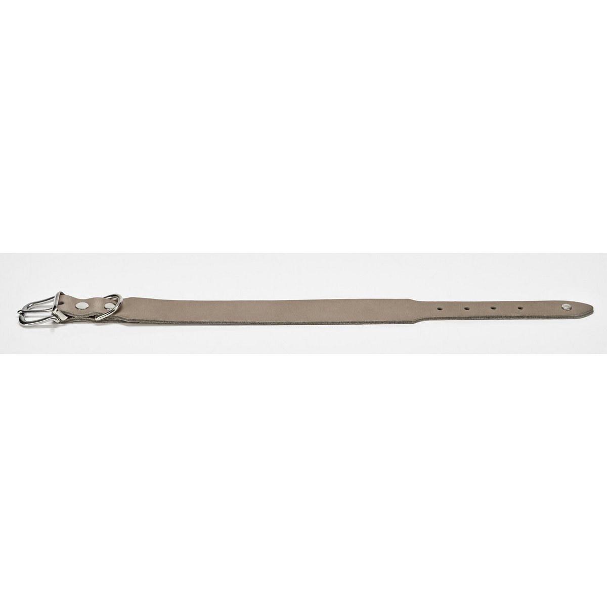 GIRO Grey - Klassisches Halsband für jeden Einsatz - Tiny Paws Boutique