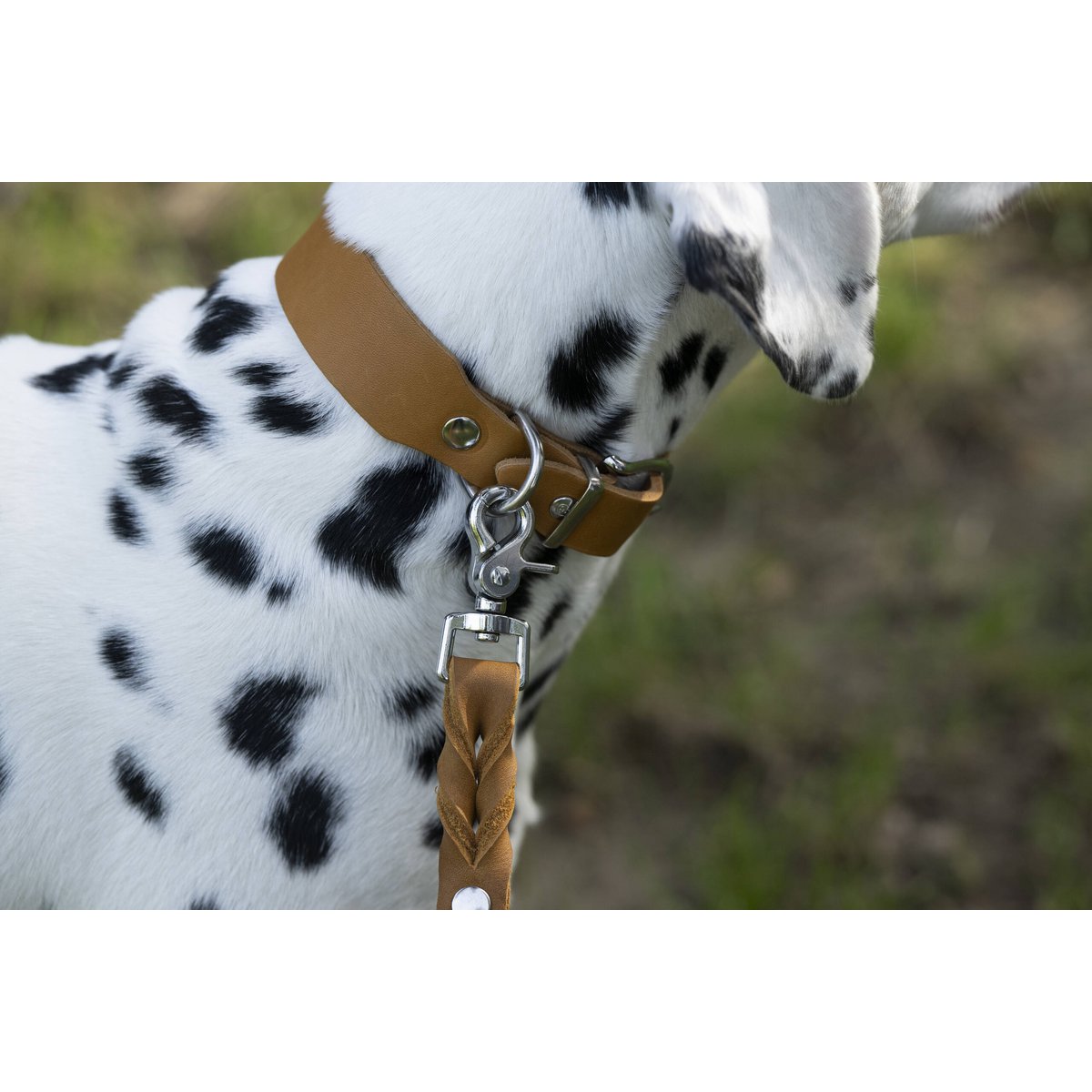 GIRO Honey - Klassische Leine für jeden Einsatz - Tiny Paws Boutique