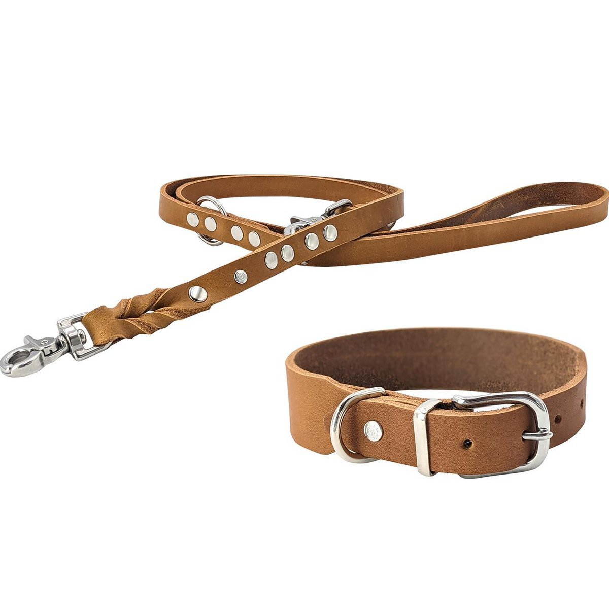 GIRO HONEY - Klassisches Halsband für jeden Einsatz - Tiny Paws Boutique