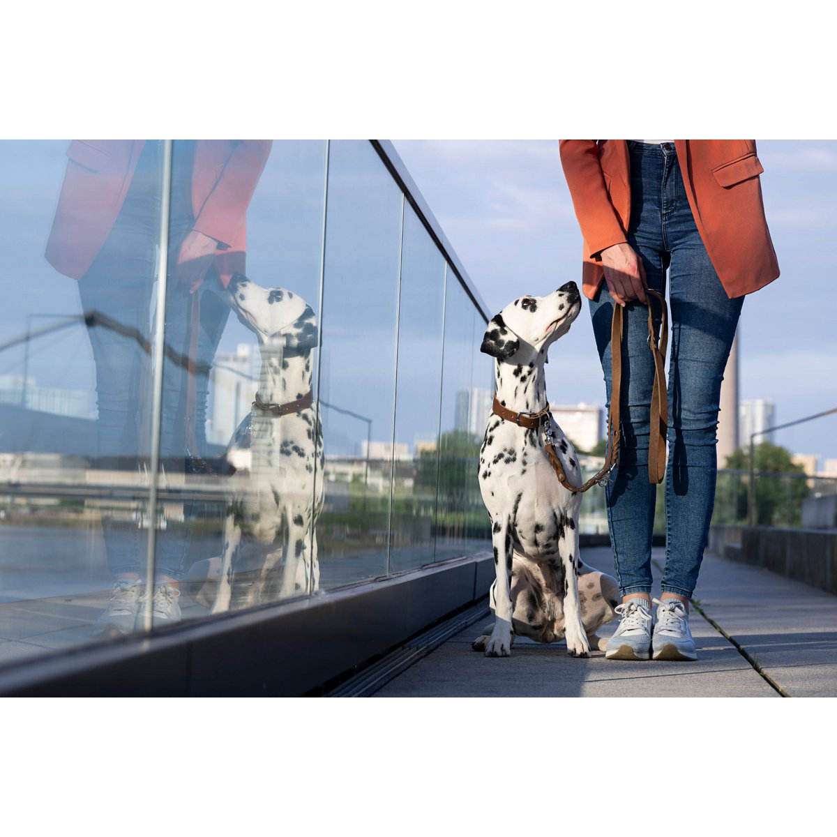 GIRO Mokka - Klassische Leine für jeden Einsatz - Tiny Paws Boutique