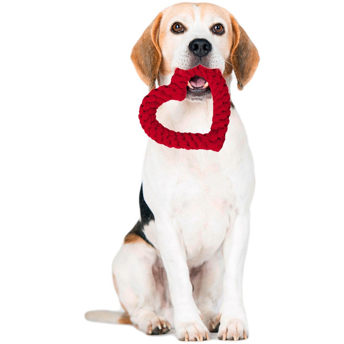 Hertha Heart - Kult - Spielzeug für Hunde - Tiny Paws Boutique