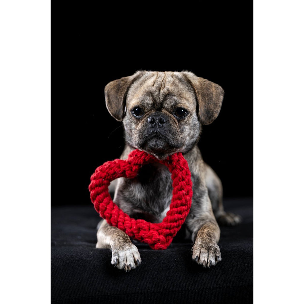 Hertha Heart - Kult - Spielzeug für Hunde - Tiny Paws Boutique
