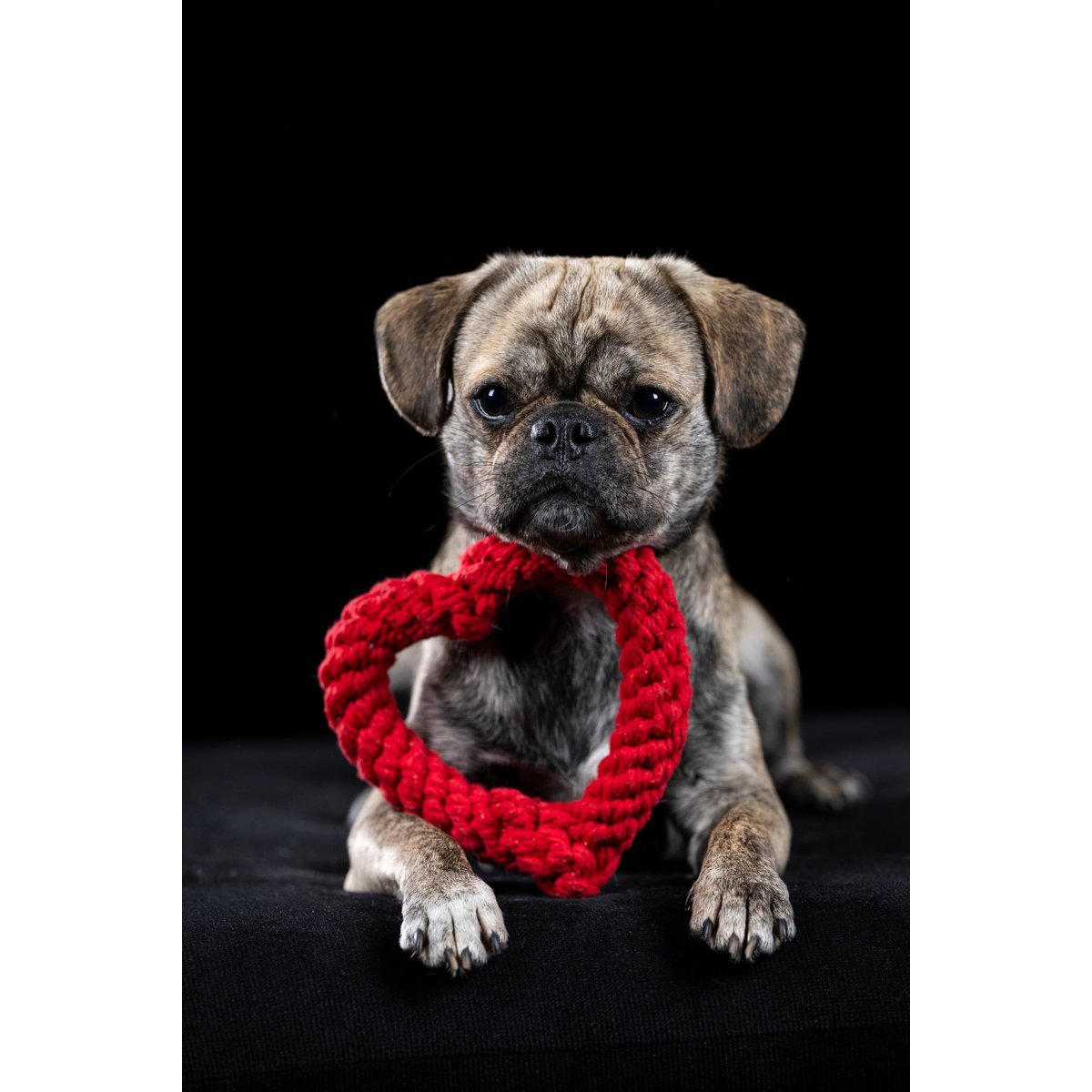Hertha Heart - Kult - Spielzeug für Hunde - Tiny Paws Boutique