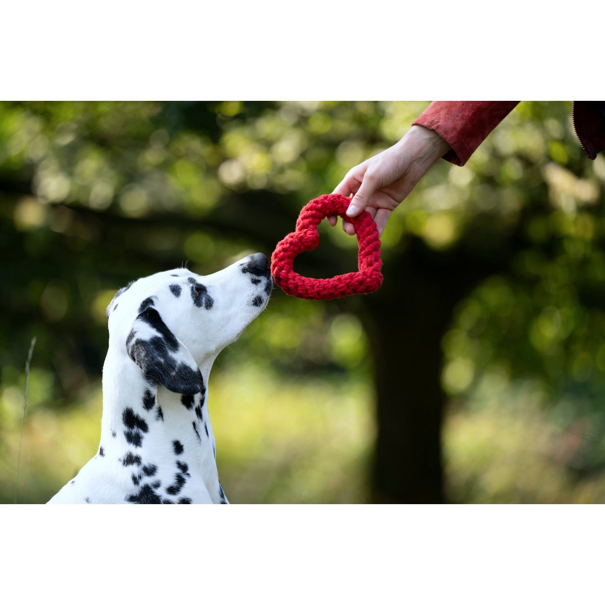 Hertha Heart - Kult - Spielzeug für Hunde - Tiny Paws Boutique