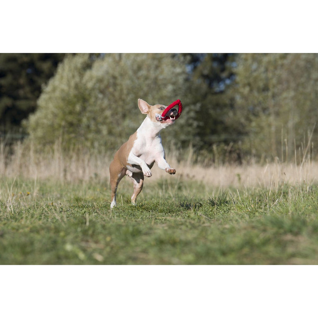 Hertha Heart - Kult - Spielzeug für Hunde - Tiny Paws Boutique
