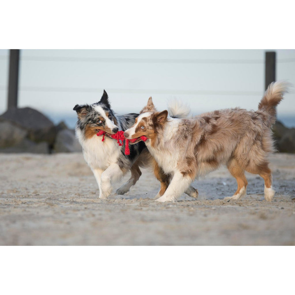 Hugo Hummer - Kult - Spielzeug für Hunde - Tiny Paws Boutique