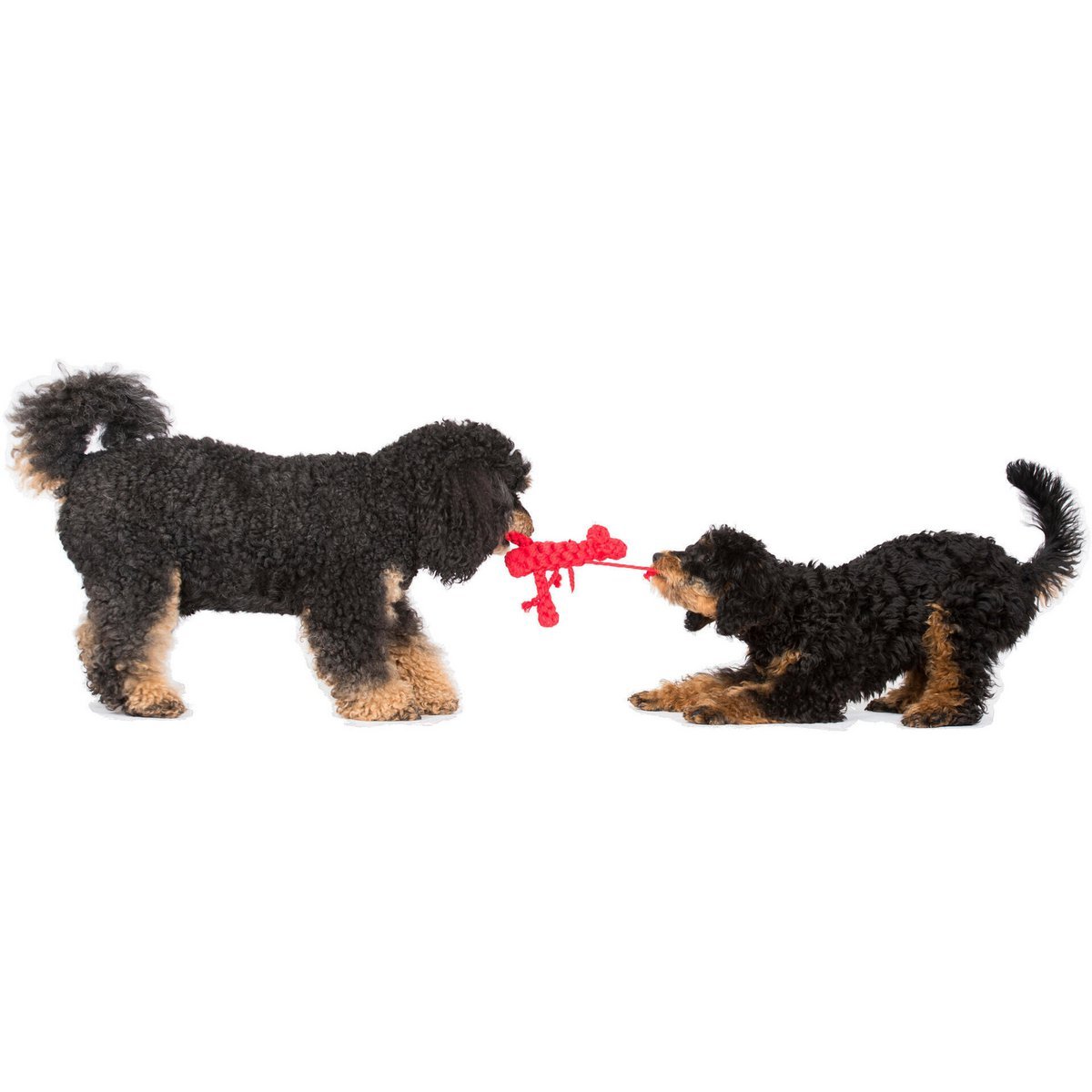 Hugo Hummer - Kult - Spielzeug für Hunde - Tiny Paws Boutique