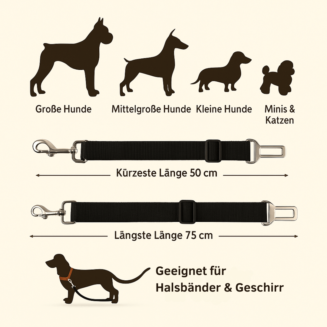 Hunde Sicherheitsgurt fürs Auto - Tiny Paws Boutique
