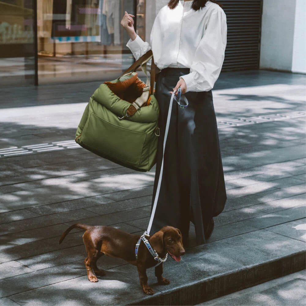 Hundetasche Bilder - Tiny Paws Boutique