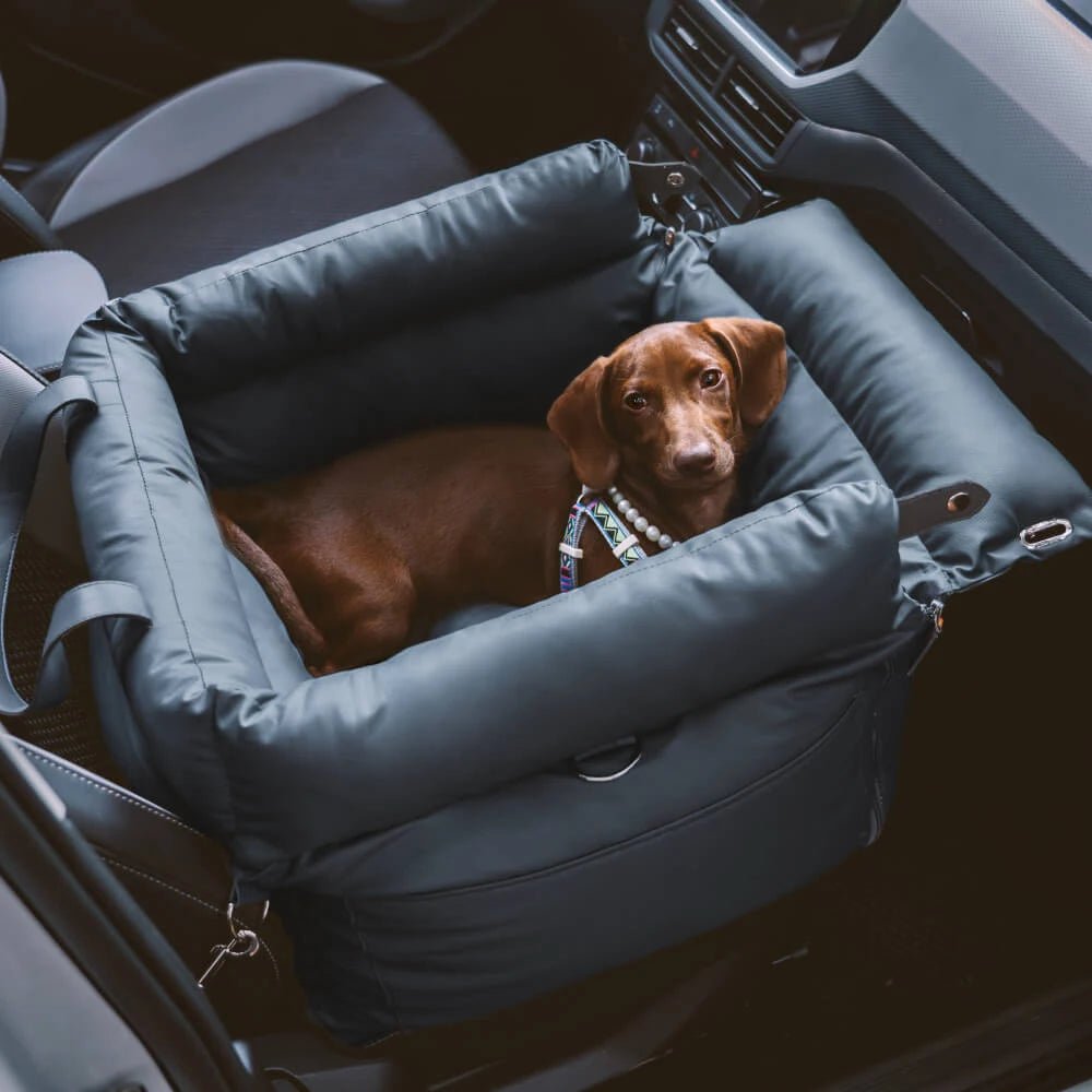 Hundetasche Bilder - Tiny Paws Boutique