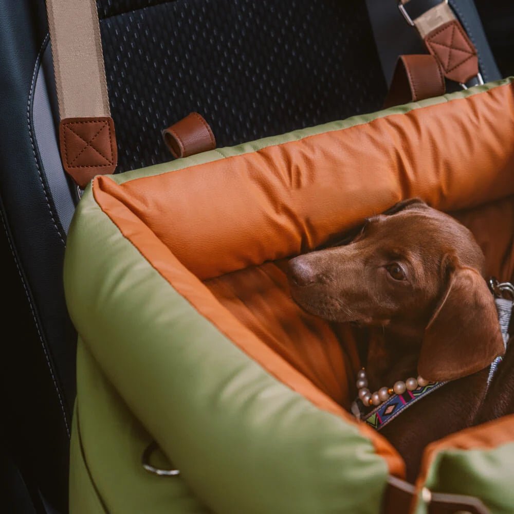 Hundetasche Bilder - Tiny Paws Boutique