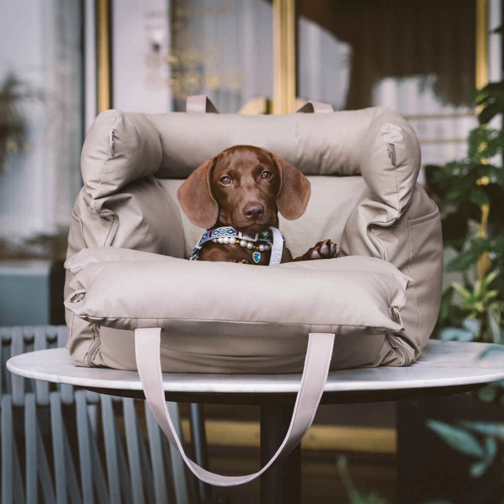 Hundetasche Hundeautositz - Tiny Paws Boutique