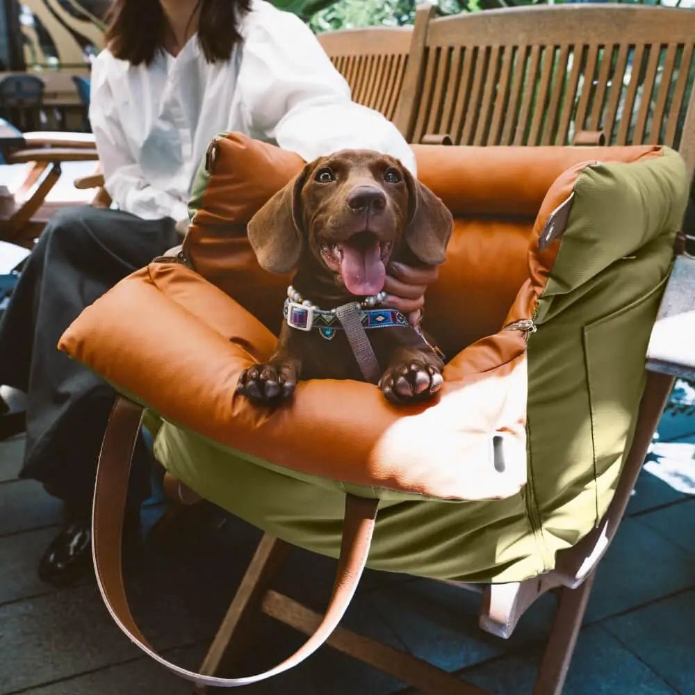 Hundetasche Hundeautositz - Tiny Paws Boutique