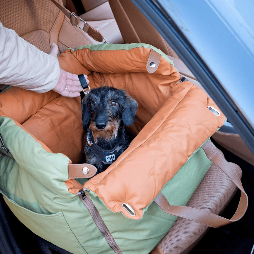 Hundetasche Hundeautositz - Tiny Paws Boutique