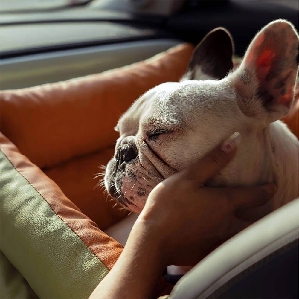 Hundetasche Hundeautositz - Tiny Paws Boutique