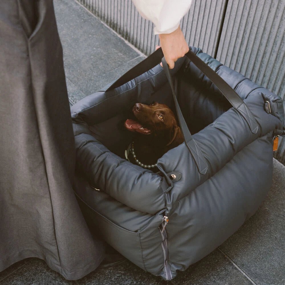 Hundetasche Hundeautositz - Tiny Paws Boutique