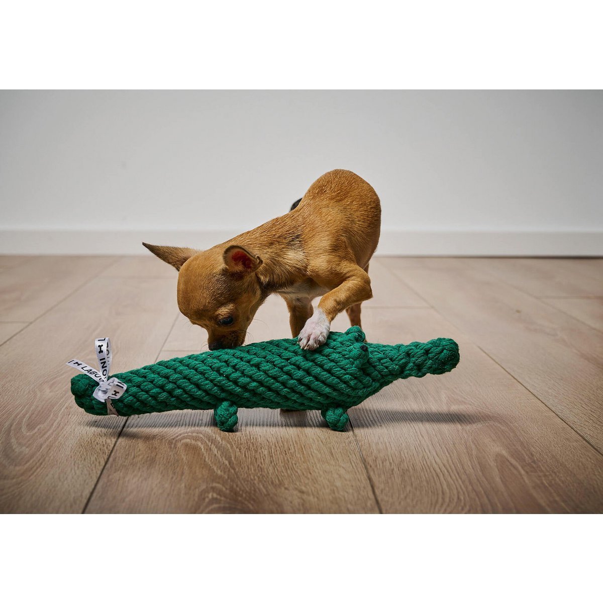 Kalli Krokodil - Kult - Spielzeug für Hunde - Tiny Paws Boutique