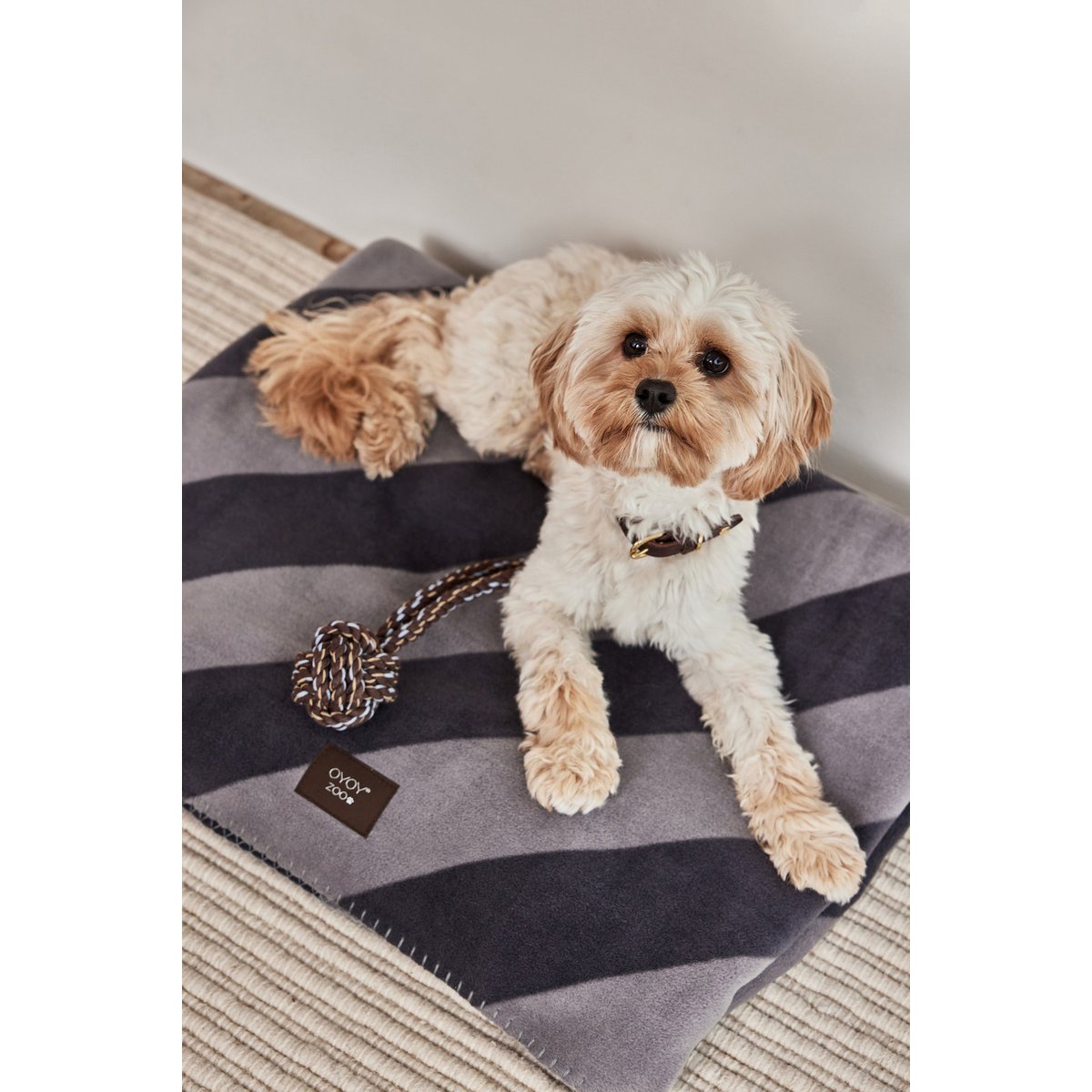 Kaya Hundedecke – groß - Tiny Paws Boutique