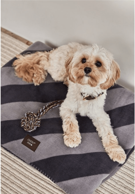 Kaya Hundedecke – Klein - Tiny Paws Boutique