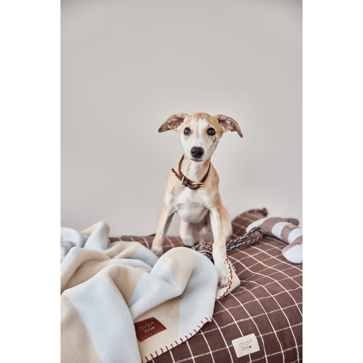 Kaya Hundedecke – mittelgroß - Tiny Paws Boutique