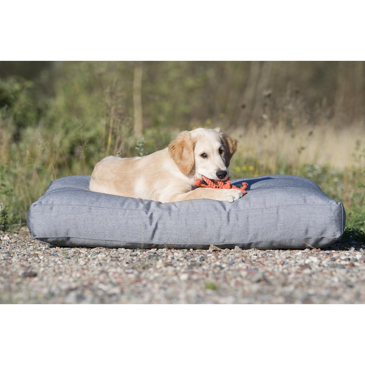 Kristof Krabbe - Kult - Spielzeug für Hunde - Tiny Paws Boutique