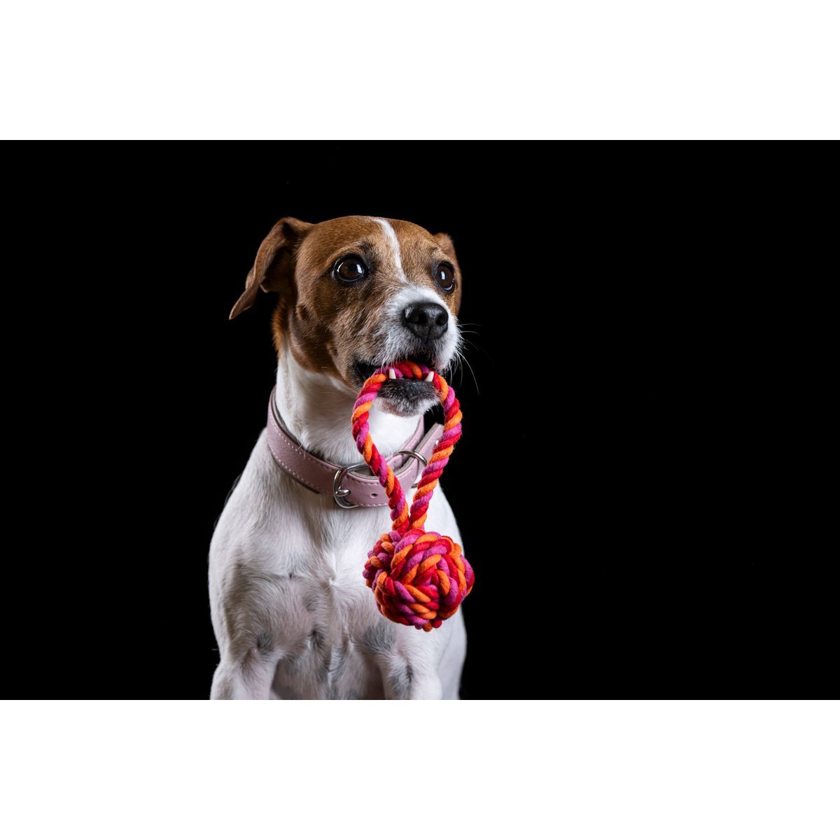 LABONI POWER - Doppel - Set Wurfspielzeug - Tiny Paws Boutique