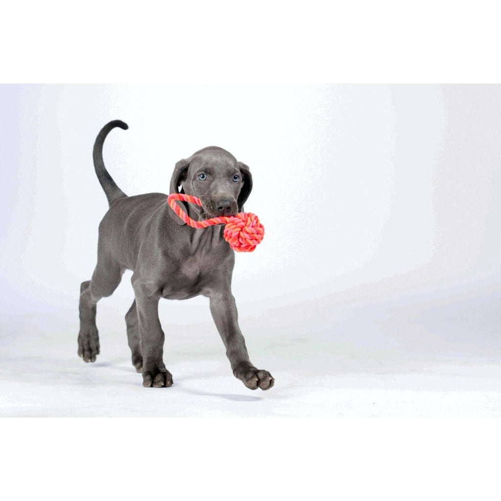 LABONI POWER - Doppel - Set Wurfspielzeug - Tiny Paws Boutique