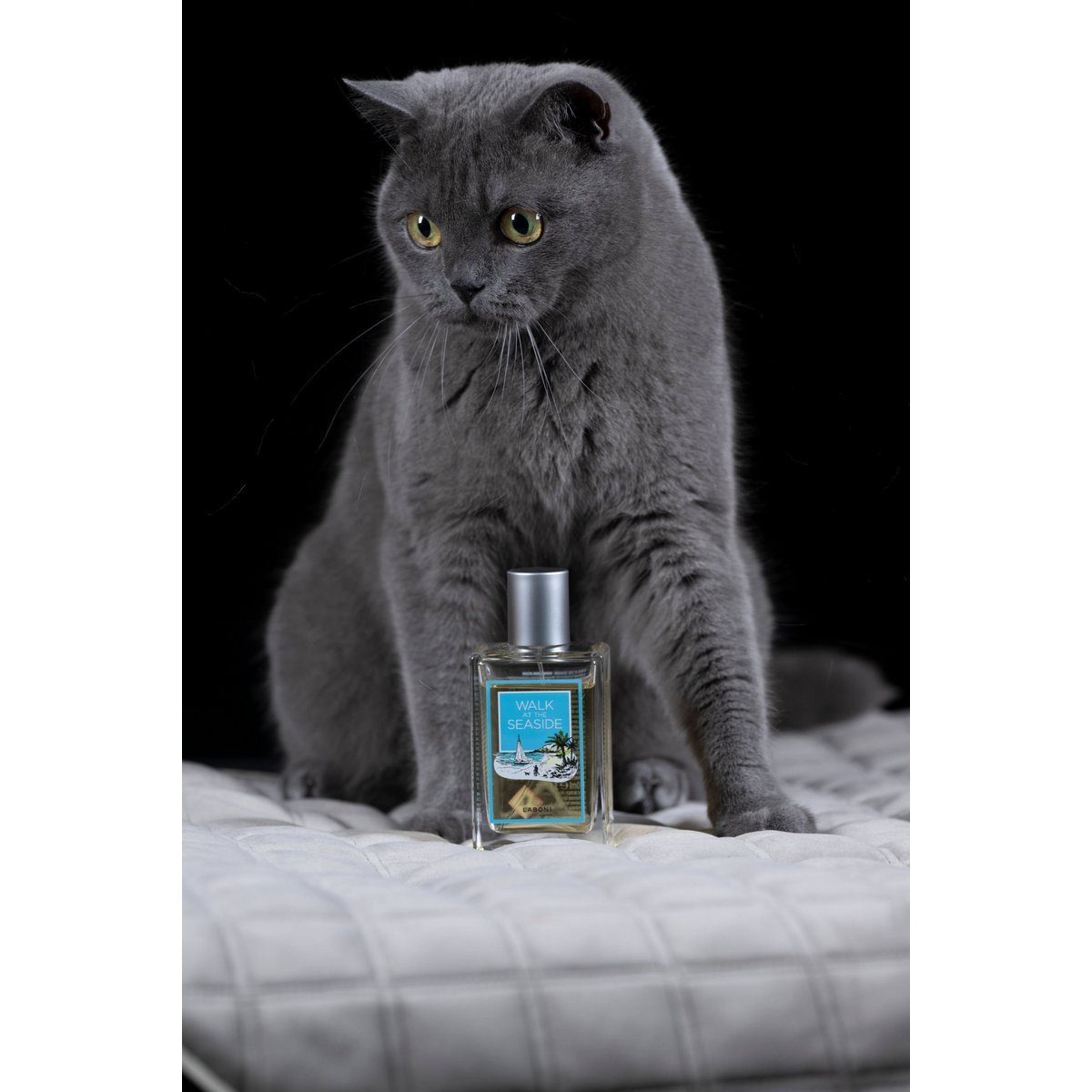 Monsieur LABONI - Spielzeug - Set für Hunde - Tiny Paws Boutique
