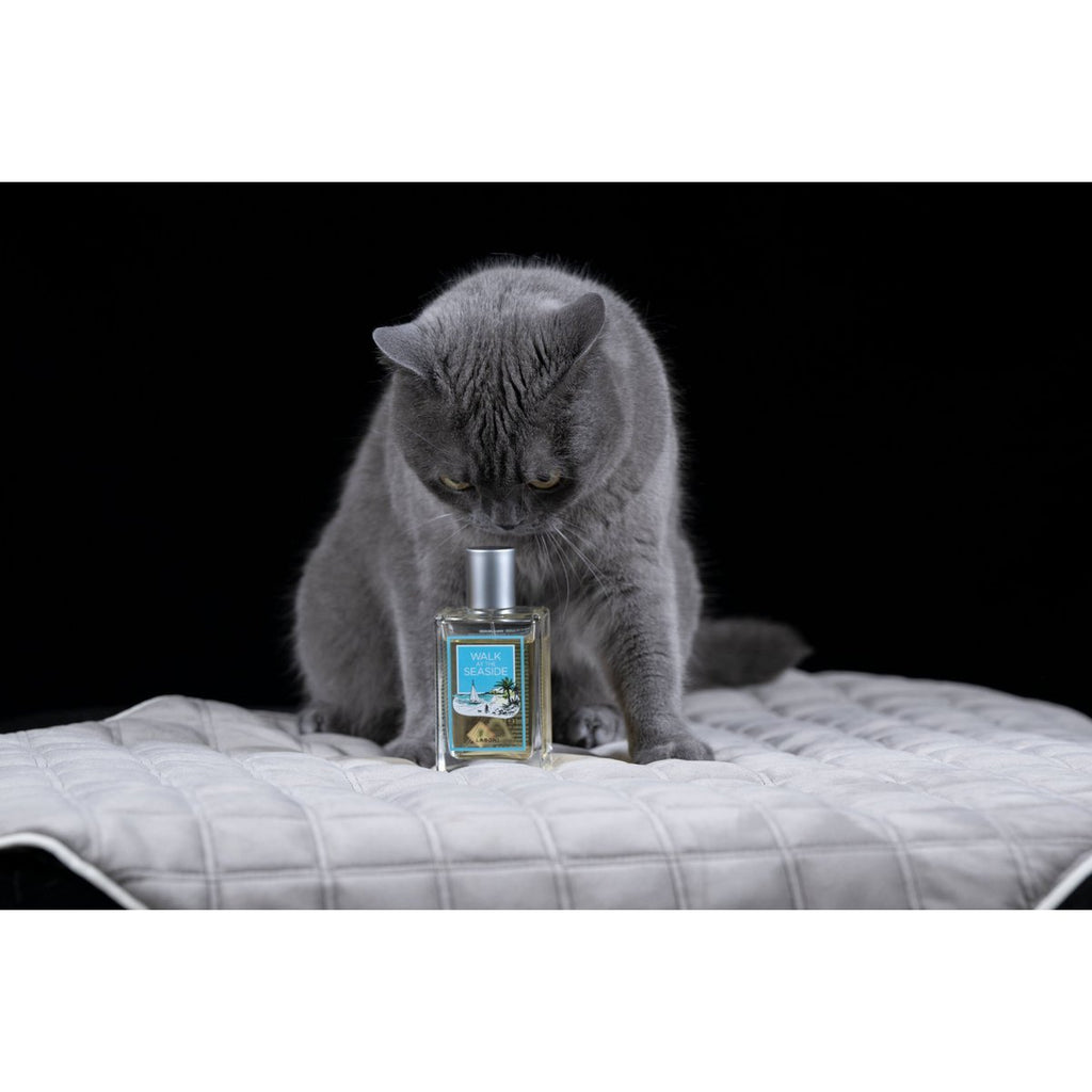 Monsieur LABONI - Spielzeug - Set für Hunde - Tiny Paws Boutique