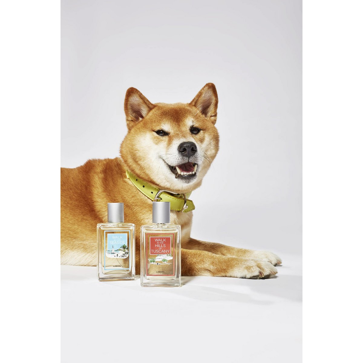 Monsieur LABONI - Spielzeug - Set für Hunde - Tiny Paws Boutique