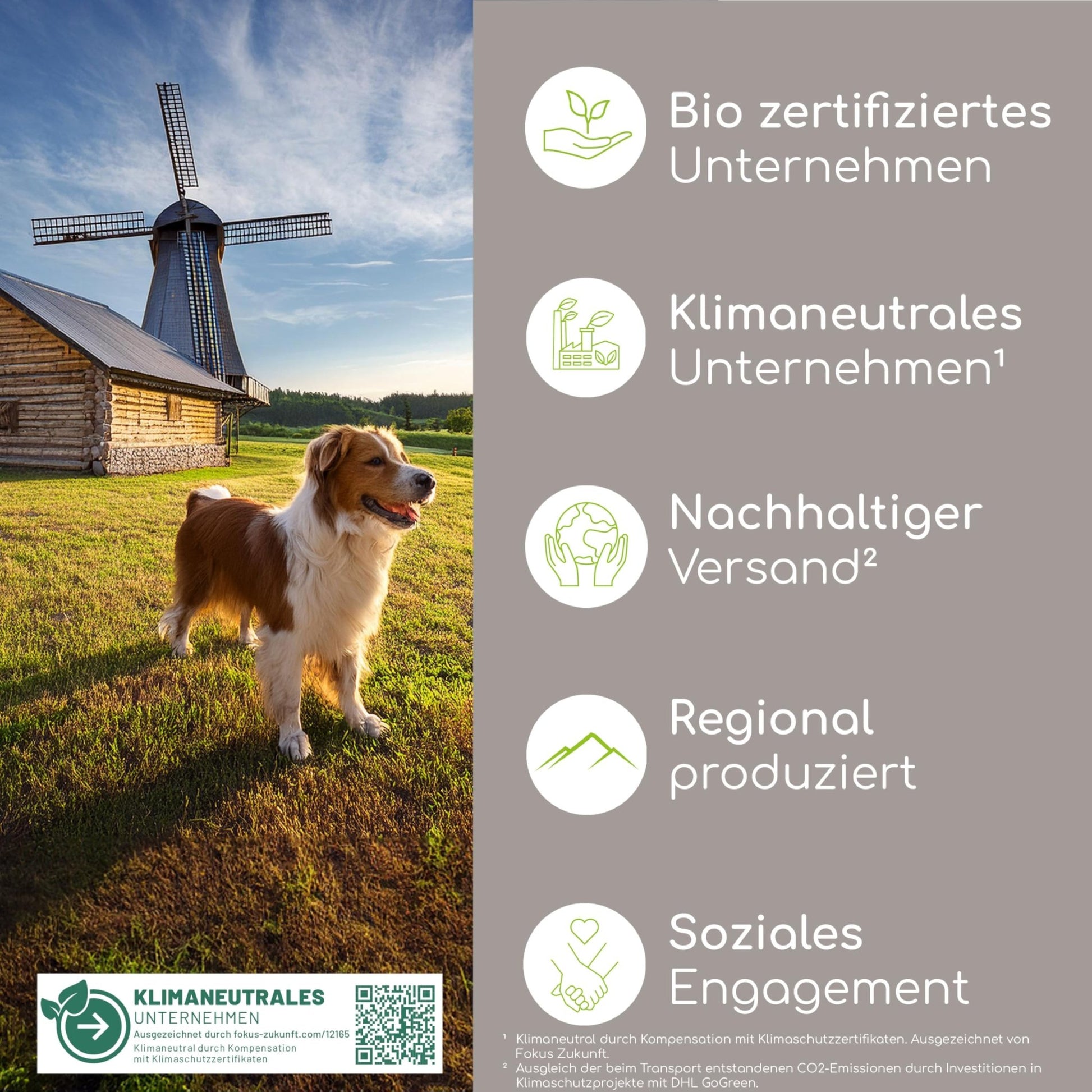 Natürliches Schwarzkümmelöl für Hunde – Zeckenschutz, Hautpflege & Vitalstoffquelle - Tiny Paws Boutique