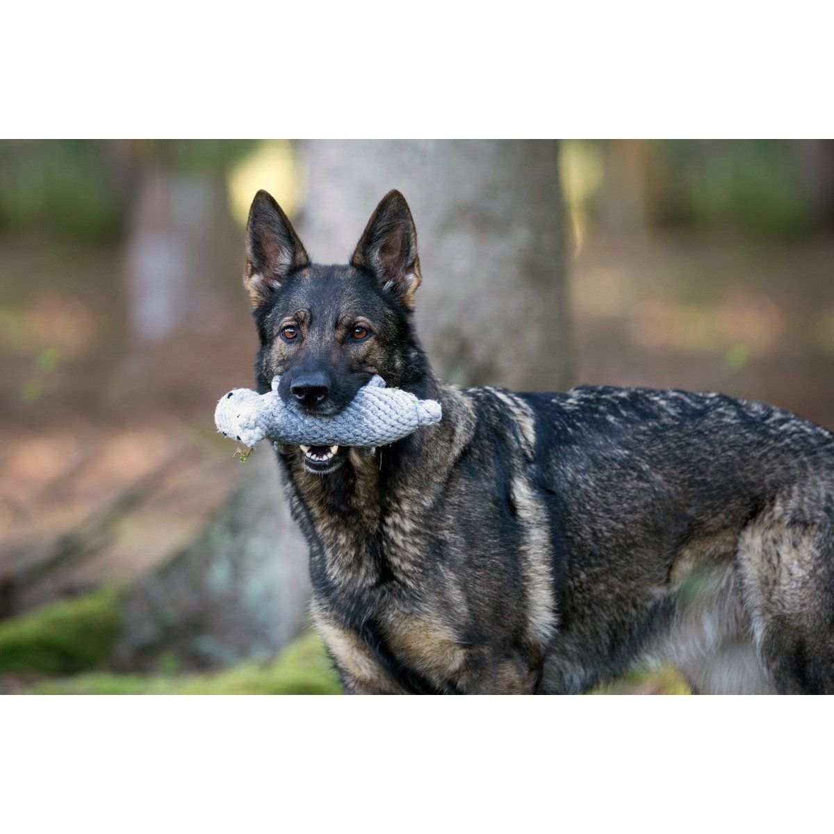 Nina Nilpferd - Kult - Spielzeug für Hunde - Tiny Paws Boutique