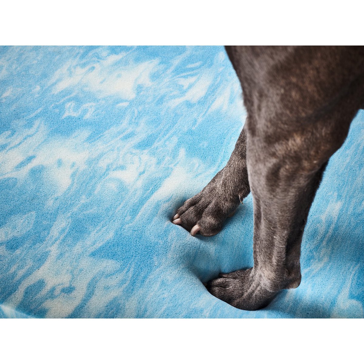 ORTHO Hundebett - ECO OLIVE - Tiny Paws Boutique