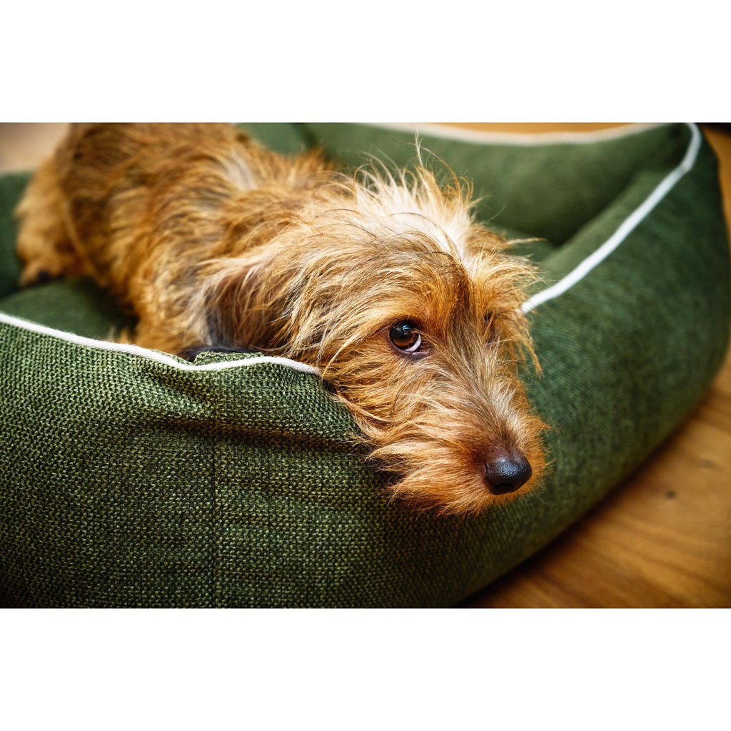 ORTHO Hundebett - ECO OLIVE - Tiny Paws Boutique