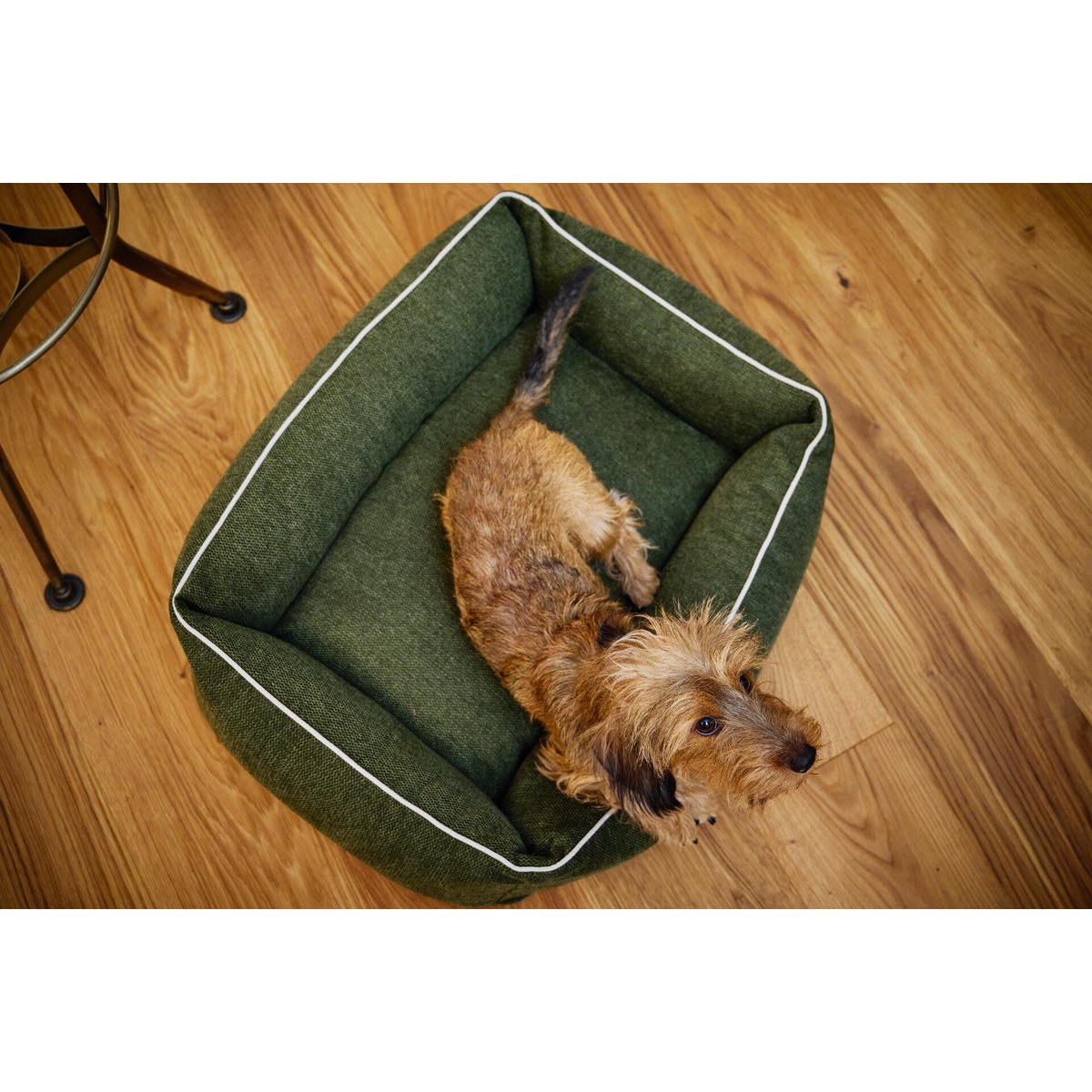 ORTHO Hundebett - ECO OLIVE - Tiny Paws Boutique
