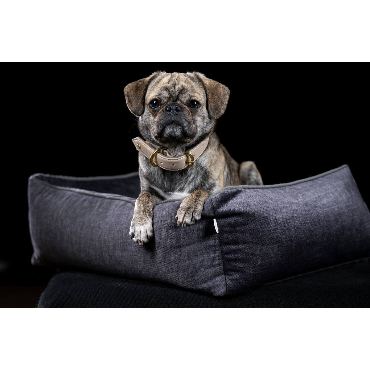 ORTHO Hundebett - GLAM GRAPHITE - Tiny Paws Boutique