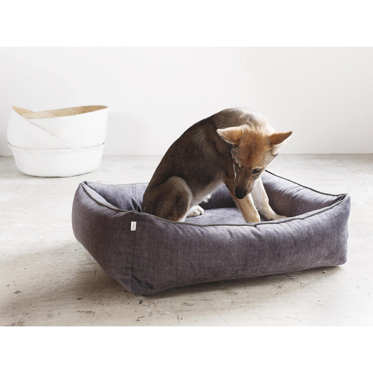 ORTHO Hundebett - GLAM GRAPHITE - Tiny Paws Boutique