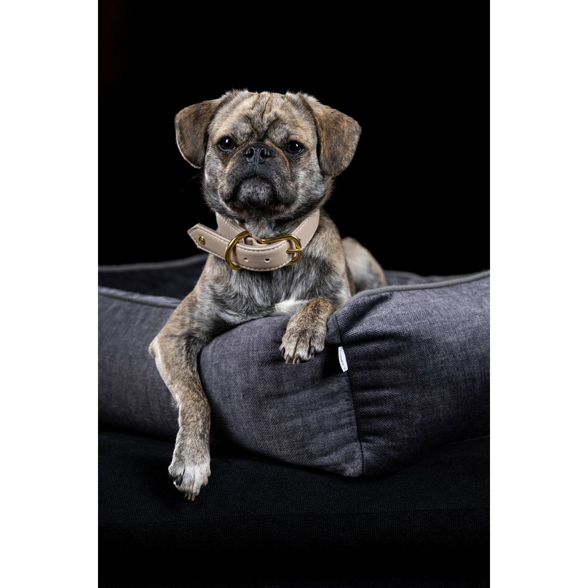 ORTHO Hundebett - GLAM GRAPHITE - Tiny Paws Boutique