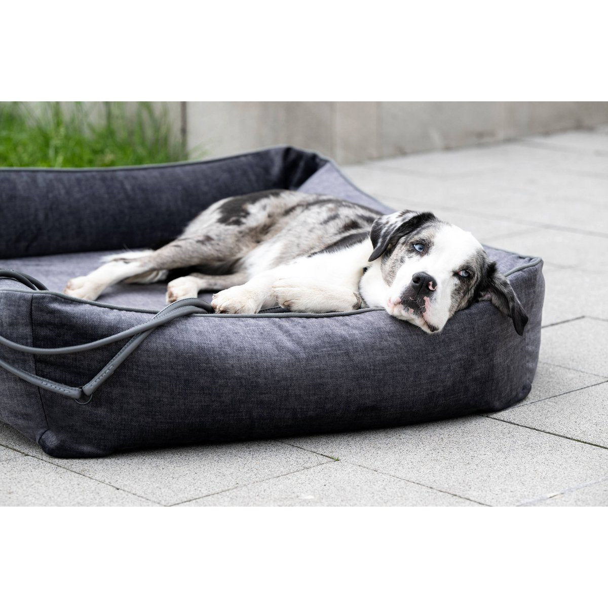 ORTHO Hundebett - GLAM GRAPHITE - Tiny Paws Boutique