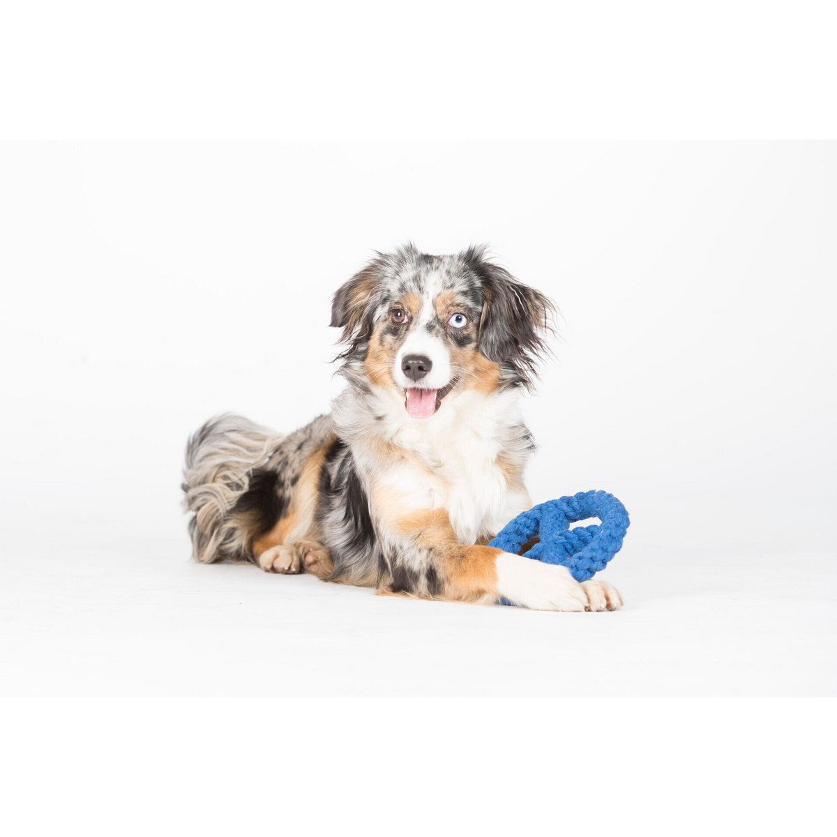 Paulchen Peace - Kult - Spielzeug für Hunde - Tiny Paws Boutique