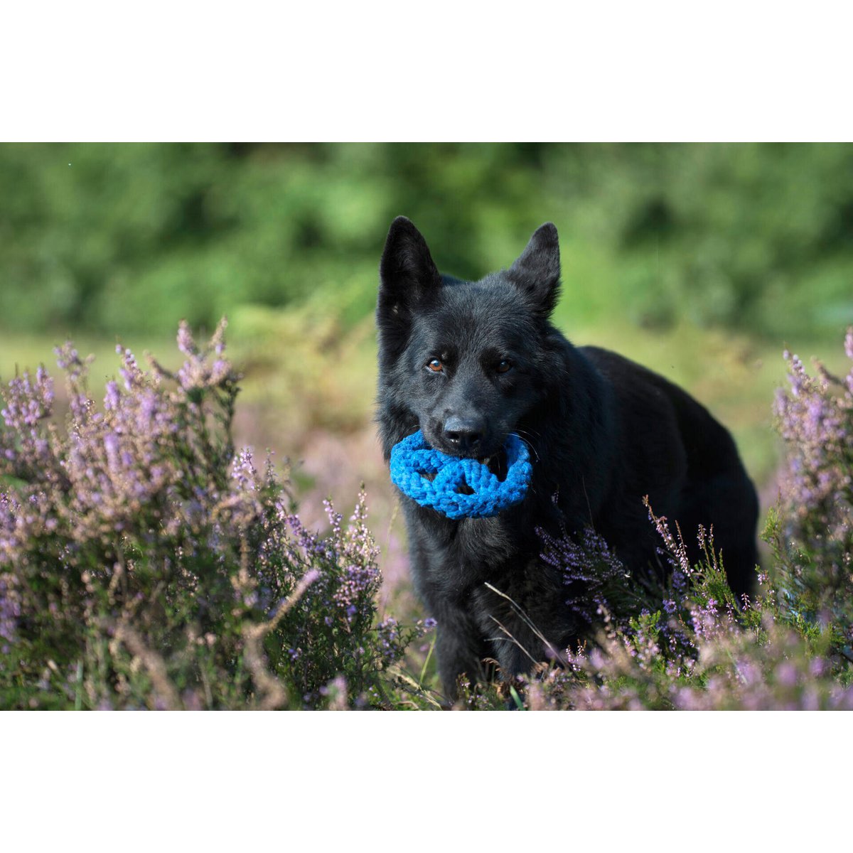 Paulchen Peace - Kult - Spielzeug für Hunde - Tiny Paws Boutique