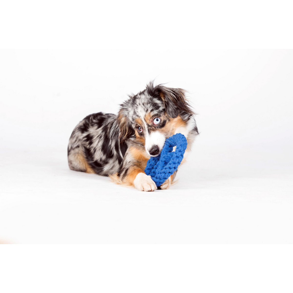 Paulchen Peace - Kult - Spielzeug für Hunde - Tiny Paws Boutique