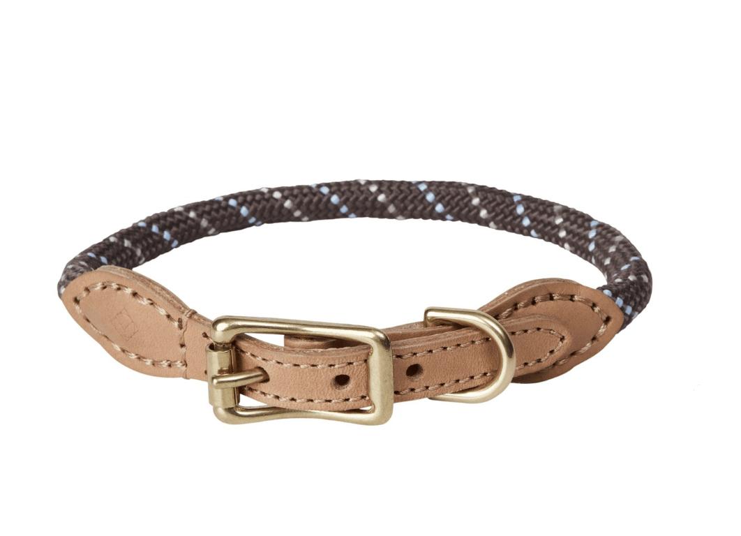 Perry Hundehalsband – Klein - Tiny Paws Boutique