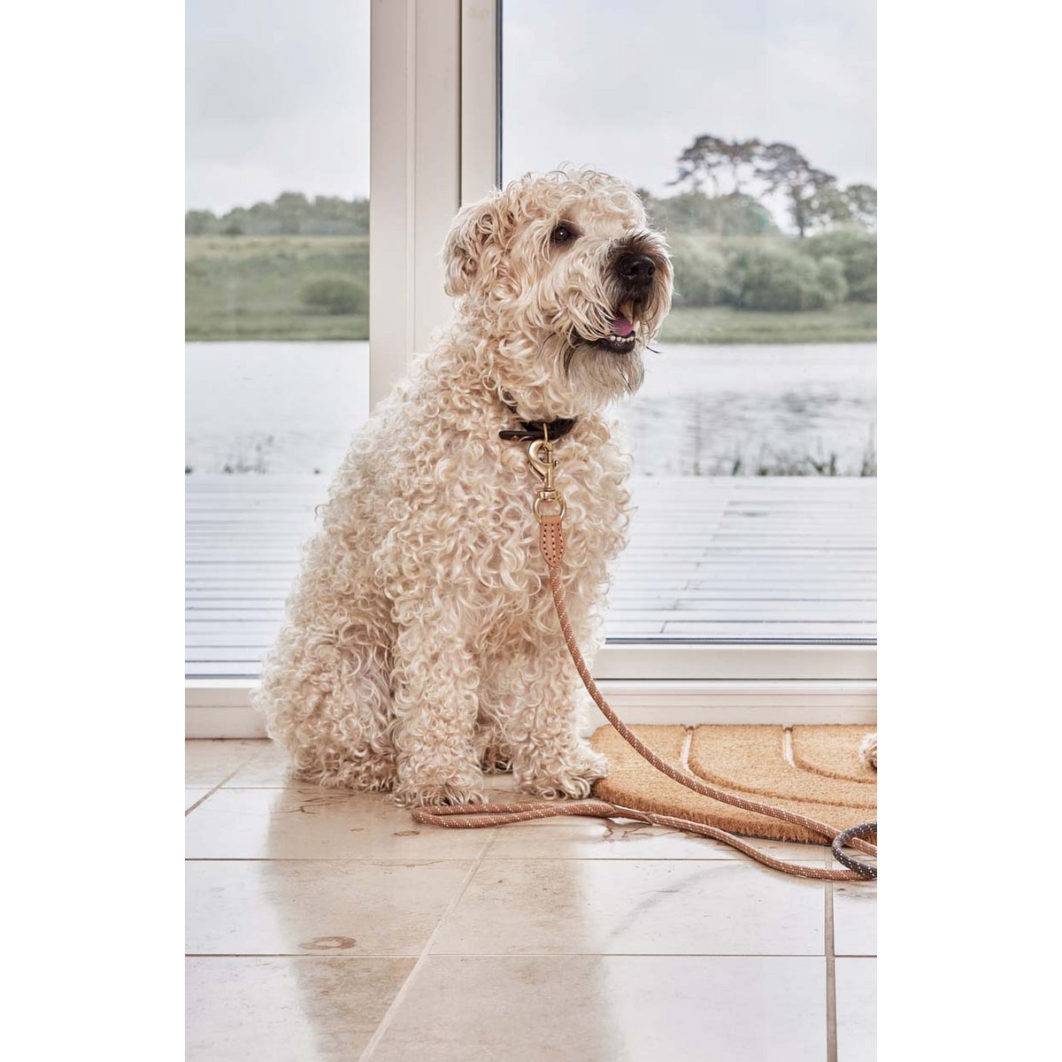 Perry Hundeleine – S/M - Tiny Paws Boutique