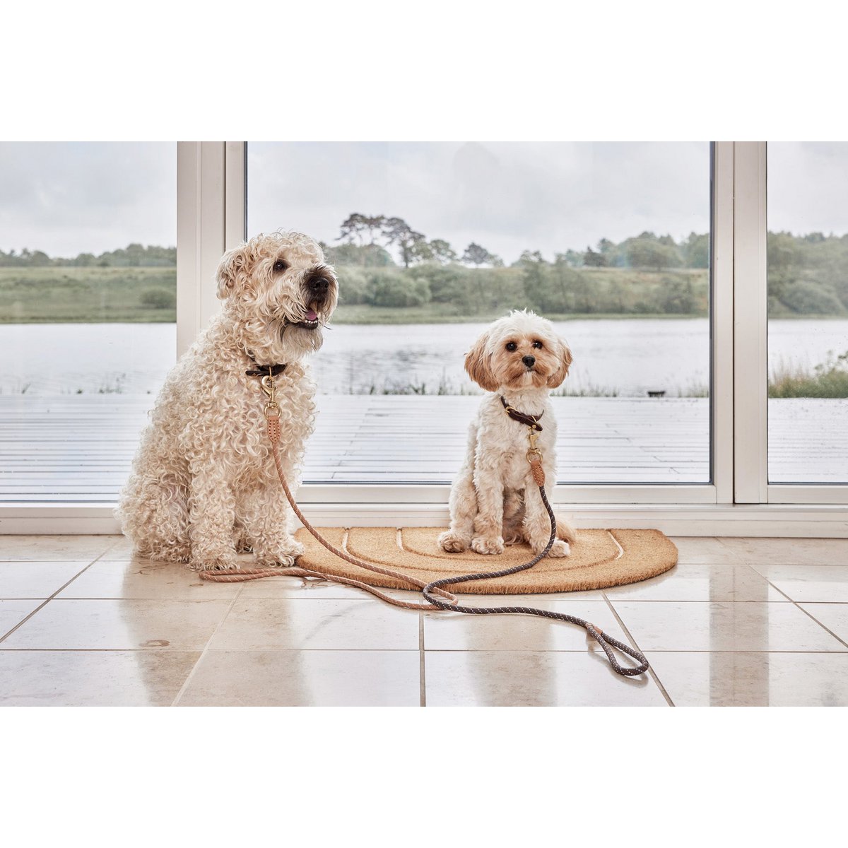Perry Hundeleine – S/M - Tiny Paws Boutique